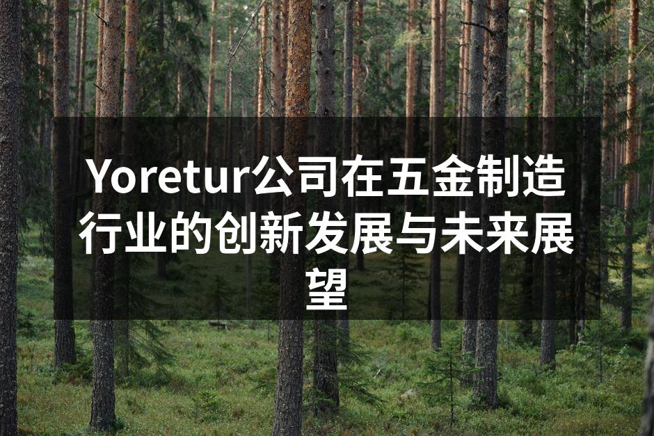 Yoretur自动化生产线